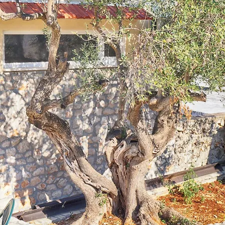 Apartment Garten Luger Fuer Zwei Personen